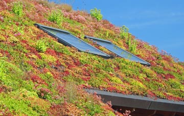 Milnathort living roof systems