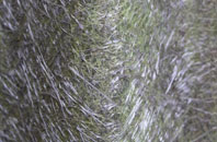 Milnathort fibreglass roof work